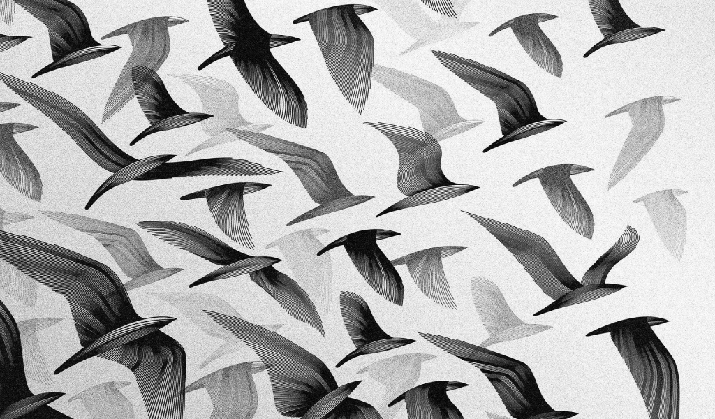 Черные птицы, серый фон