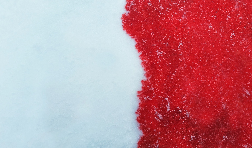 Кровь на белом снеге