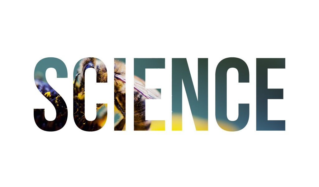 Надпись Наука на фоне пчелы