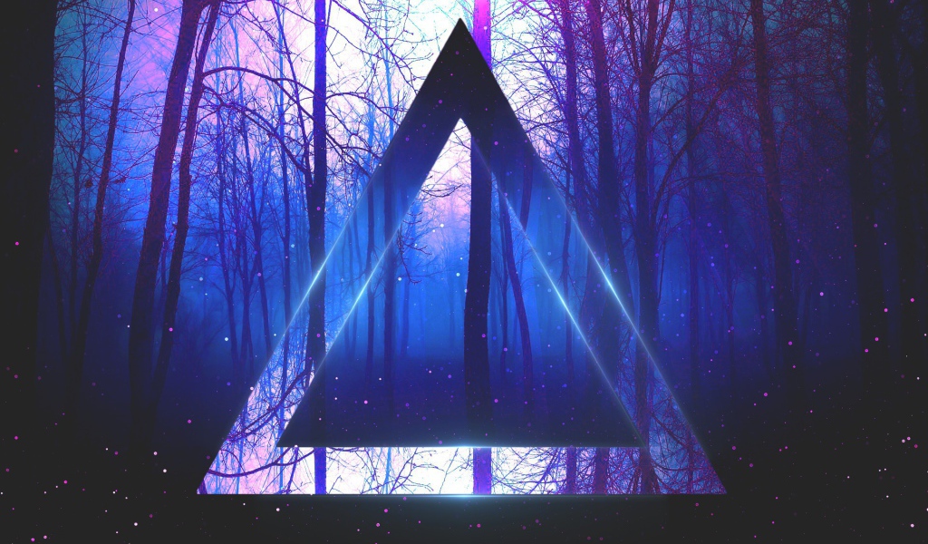 Треугольник на фоне веток