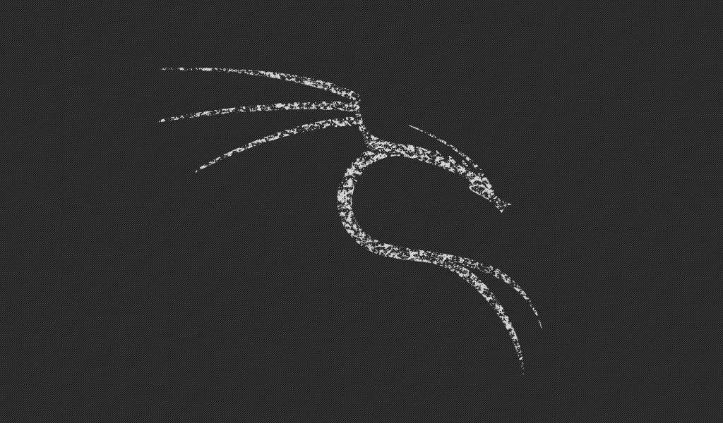 Белый дракон Kali Linux NetHunter