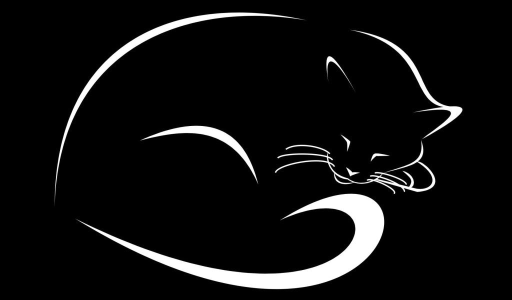 Белые контуры черного кота