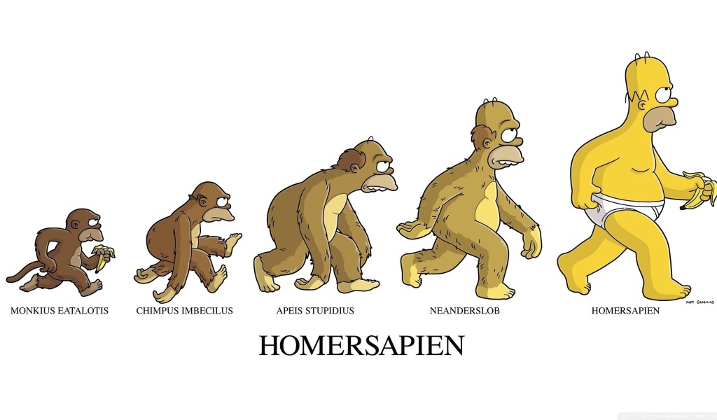 Эволюция Гомерсапиенса, мультфильм