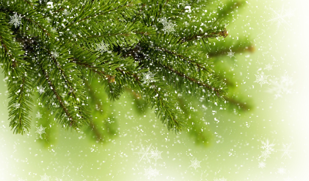 Снежинки на ветке елки