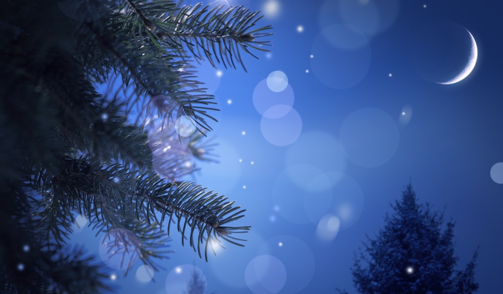 Новогодняя лунная ночь