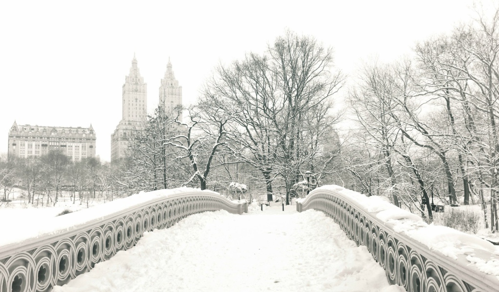 Мост в центральном парке Нью-Йорка