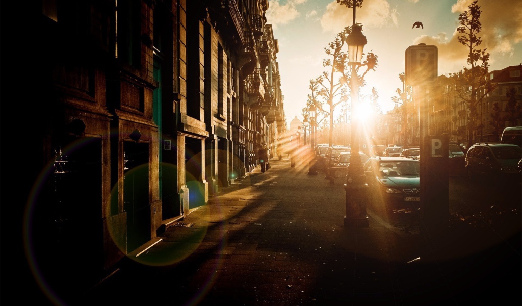 Блик от солнца на закате