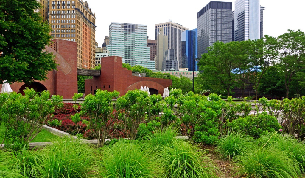 Зеленый парк в центре города