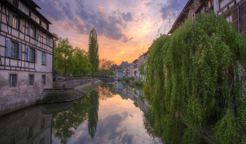 Зелень деревьев свисает до воды канала