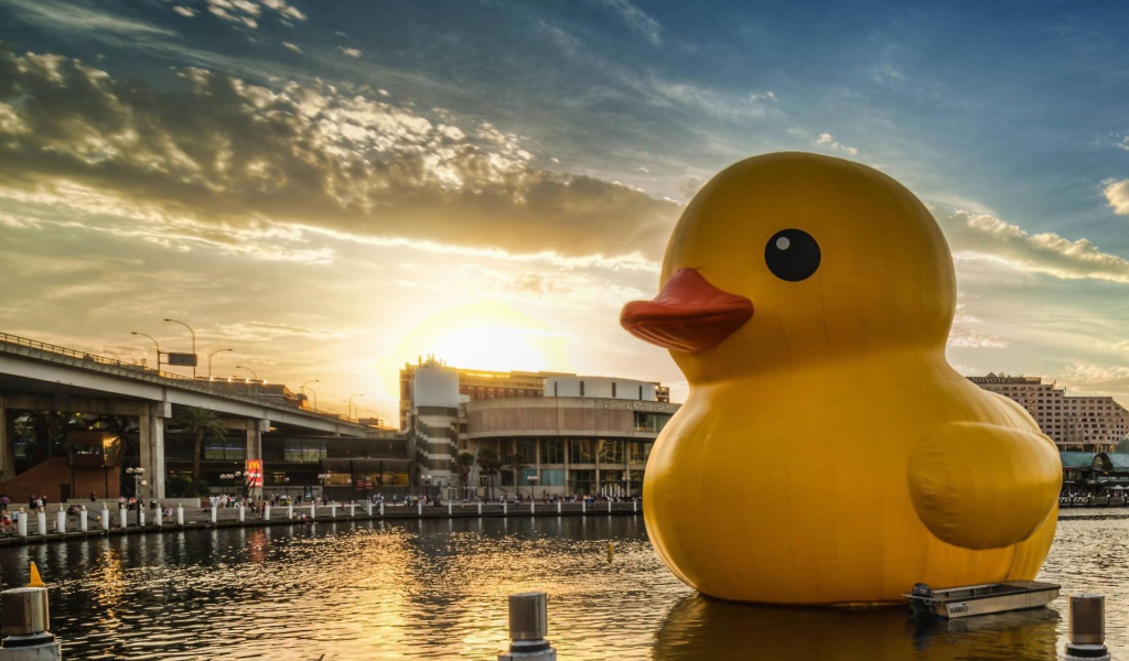 Огромная игрушечная утка