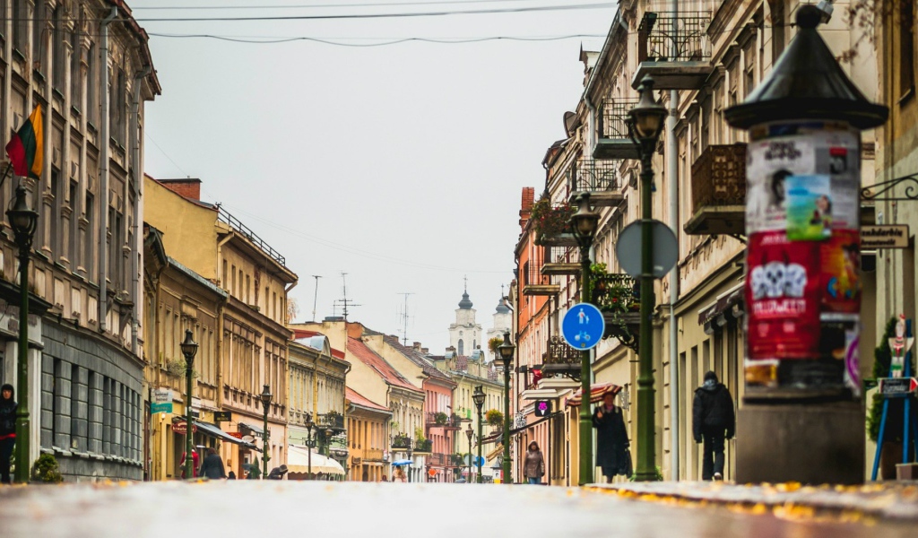 Город Каунас, Литва