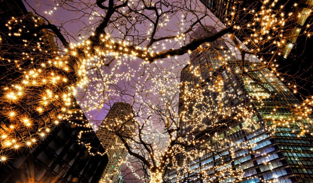 Предновогодний Чикаго США