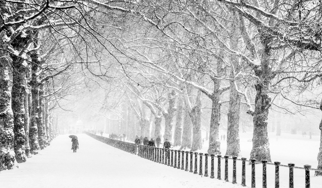 Сент-Джеймс Парк, Лондон