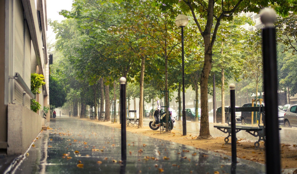Улица Парижа во время дождя