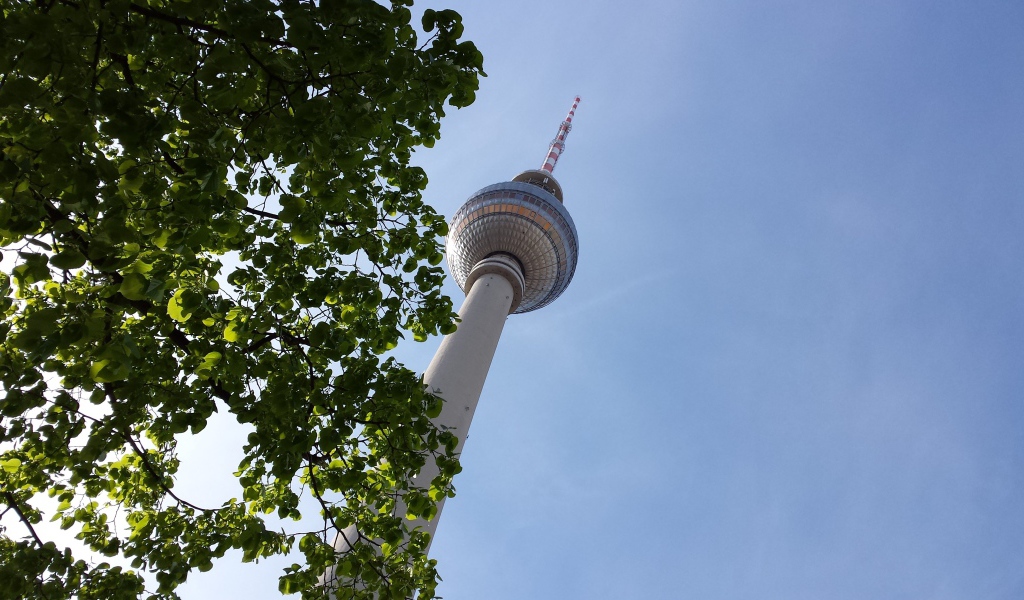 Дерево на фоне телебашни в Берлине