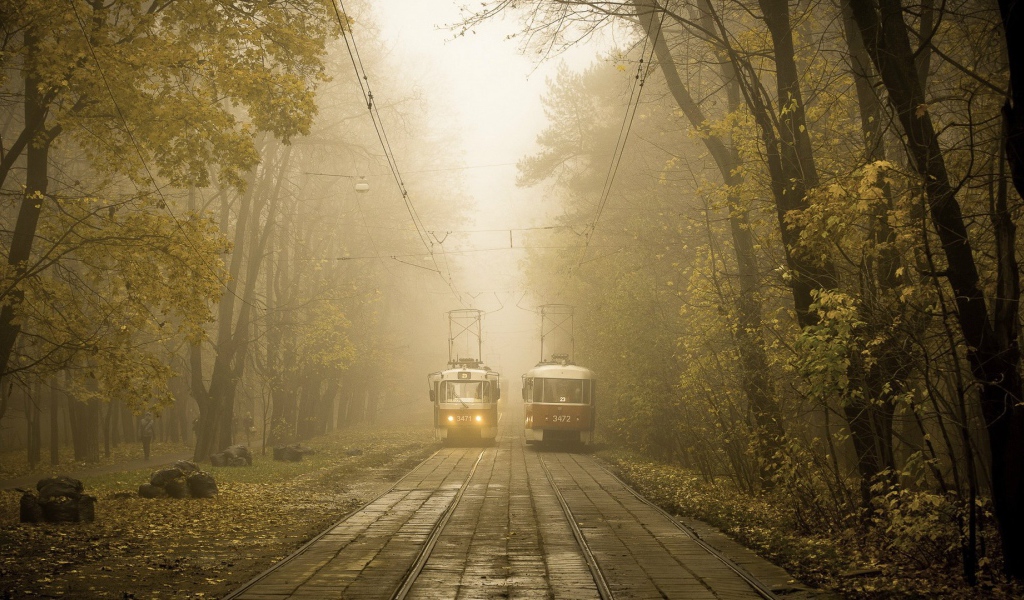 Two tram line in the city park