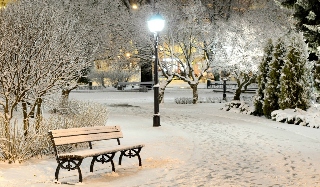 Зимний вечер в городском парке