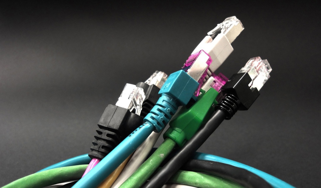 Букет компьютерных тюльпанов