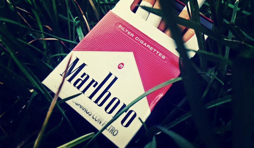 Пачка сигарет в траве