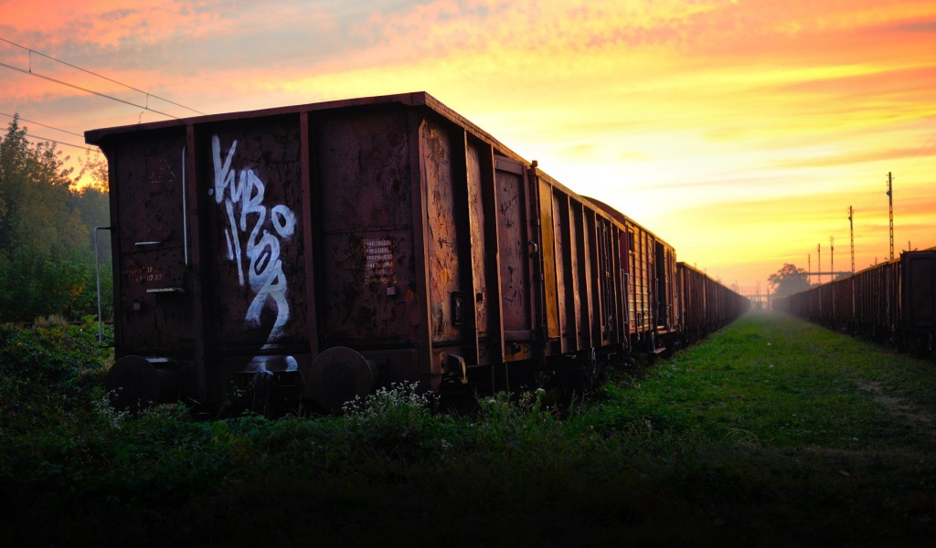 Заброшенная железнодорожная ветка