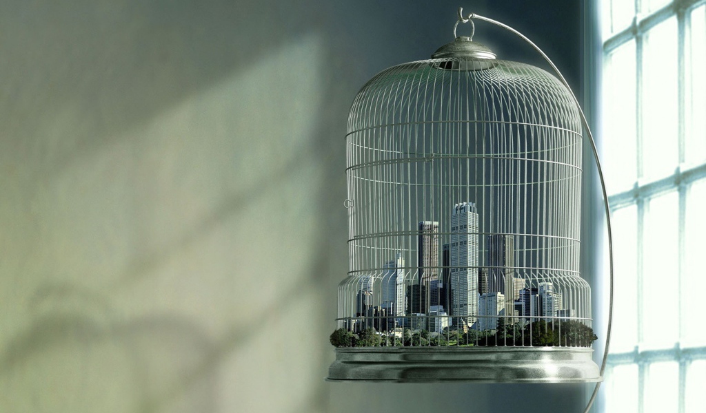 Большой город в птичьей клетке