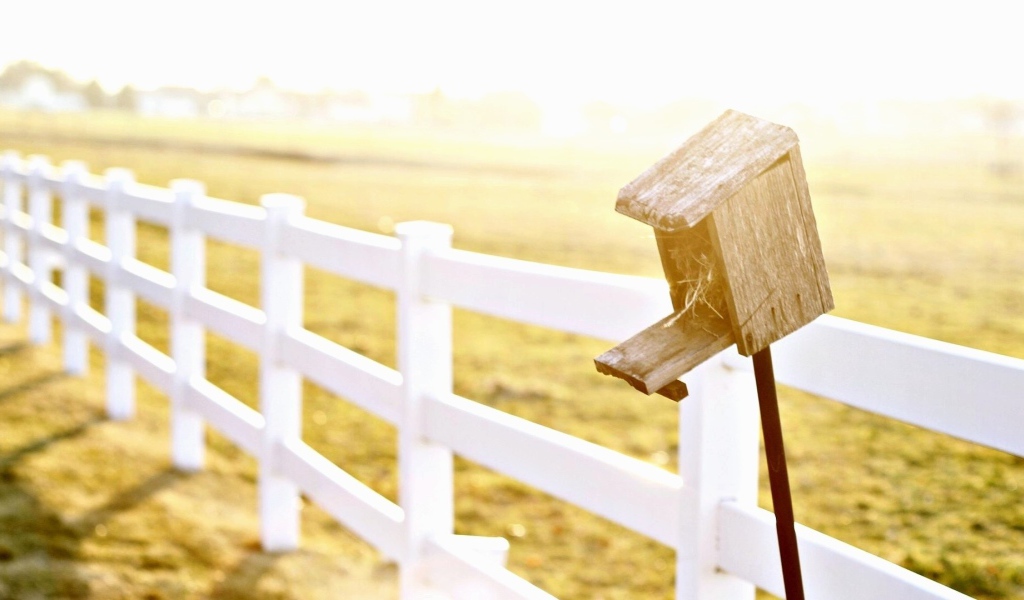 Птичья избушка на заборе