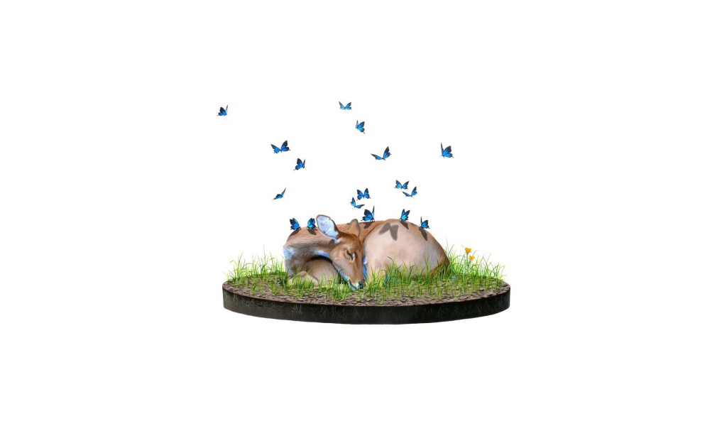 Голубые бабочки на олене