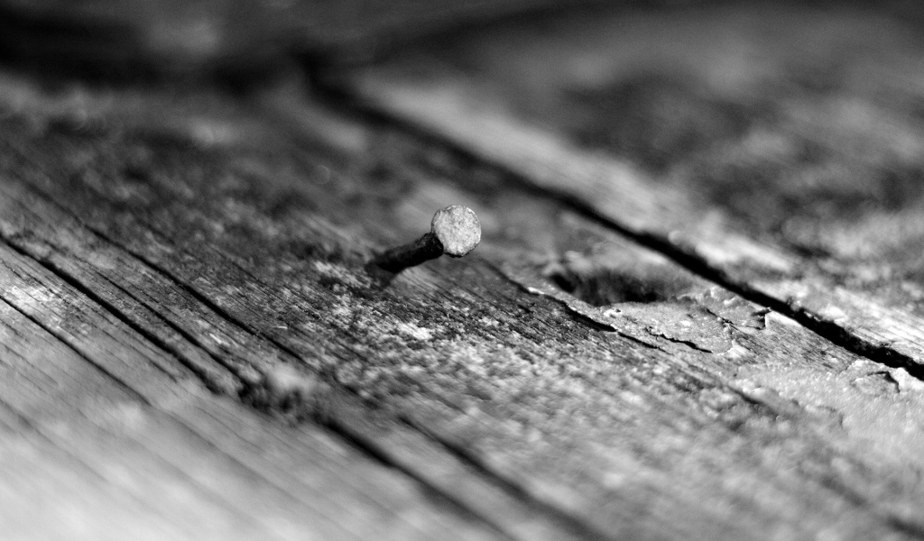 Кривой гвоздь в дереве