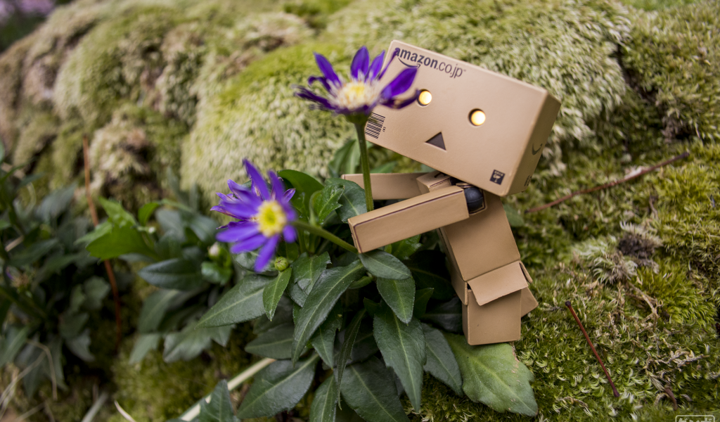 Дандо обнимает цветок