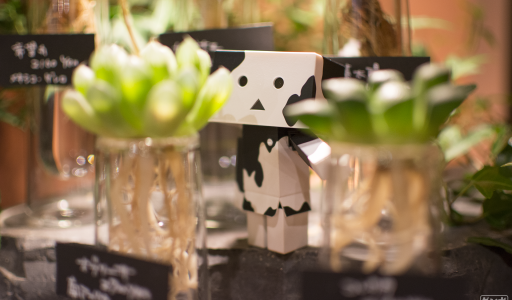 Дандо в маскировке