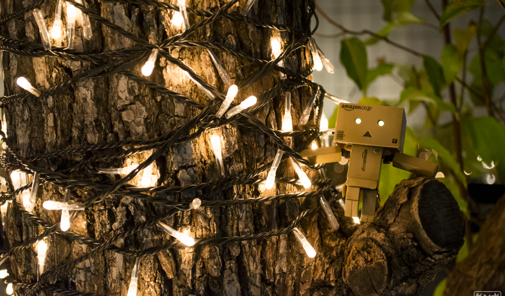 Дандо на дереве