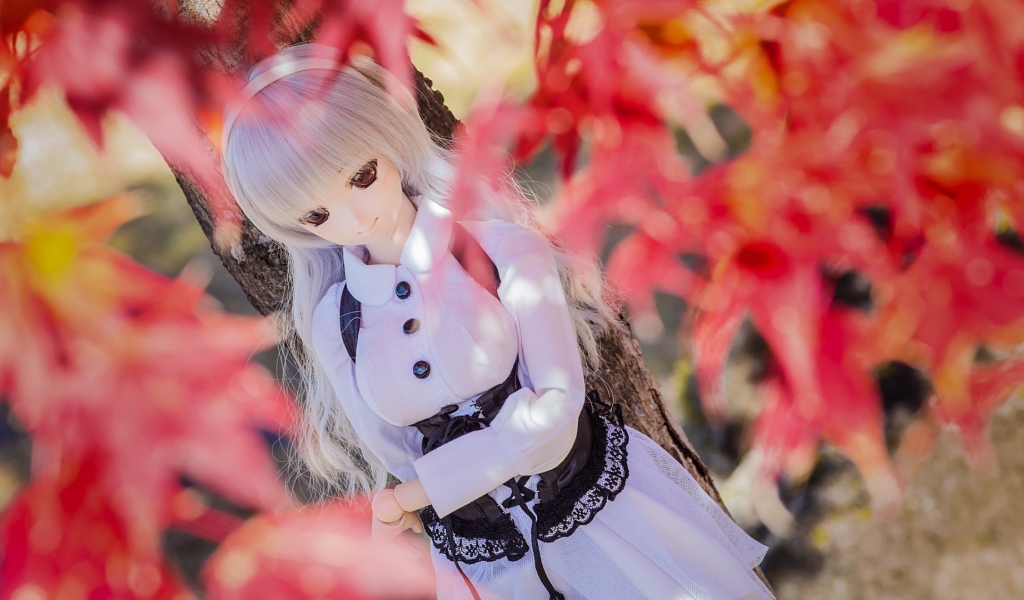 Кукла среди осенней листвы