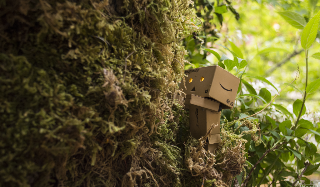 Дандо в японском саду