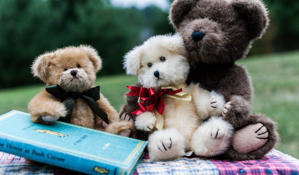 Семейство плюшевых медведей с книгой