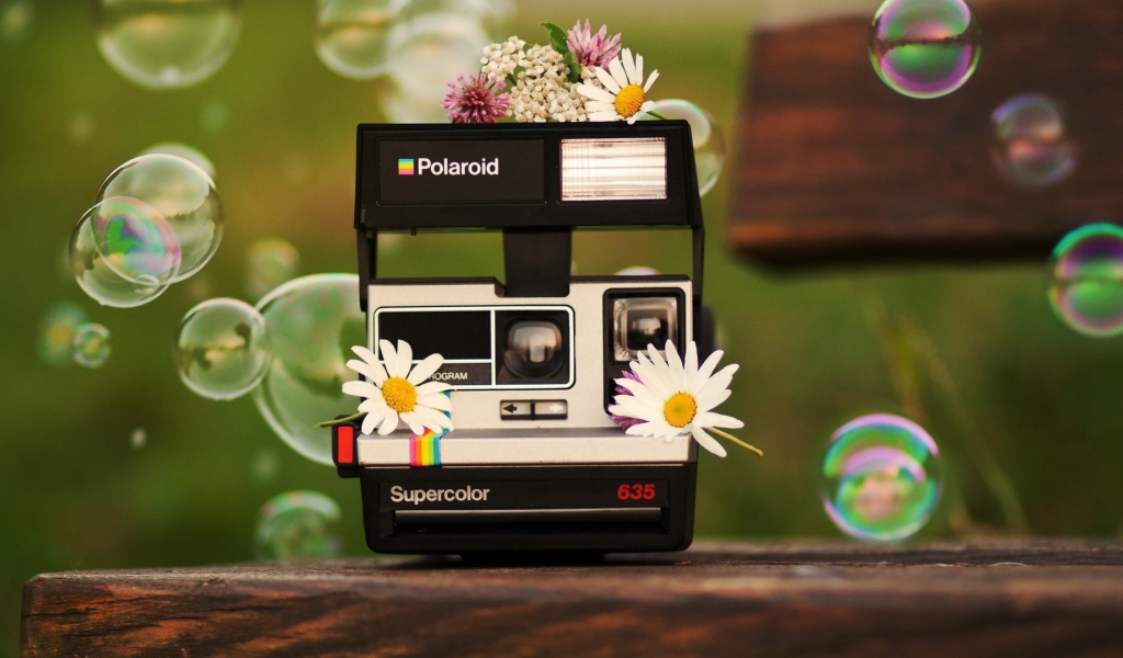 Цветы на фотоаппарате Полароид