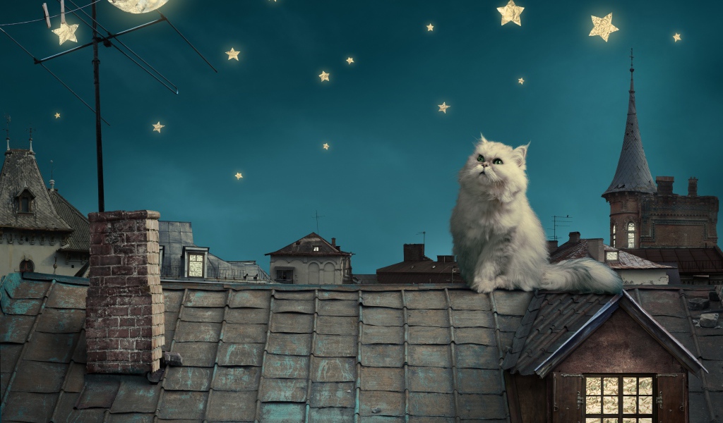 Пушистый кот на декорациях