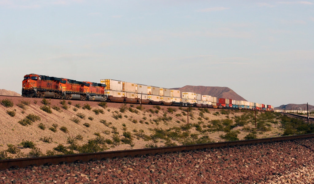 Грузовой поезд перевозит контейнеры