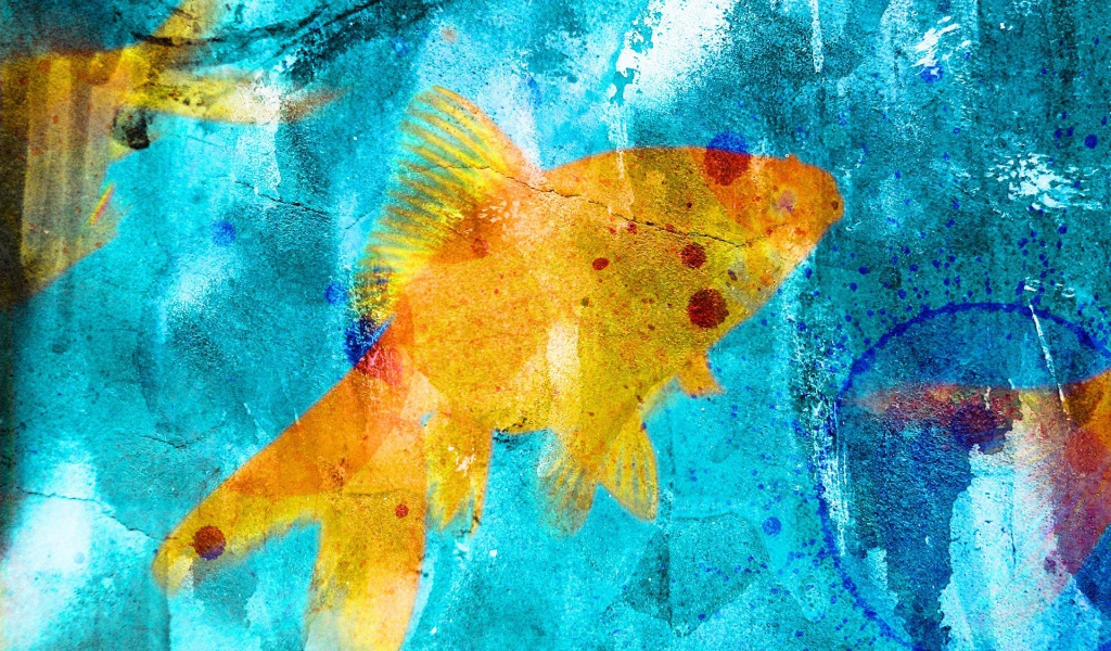 Граффити рыбка на голубом фоне