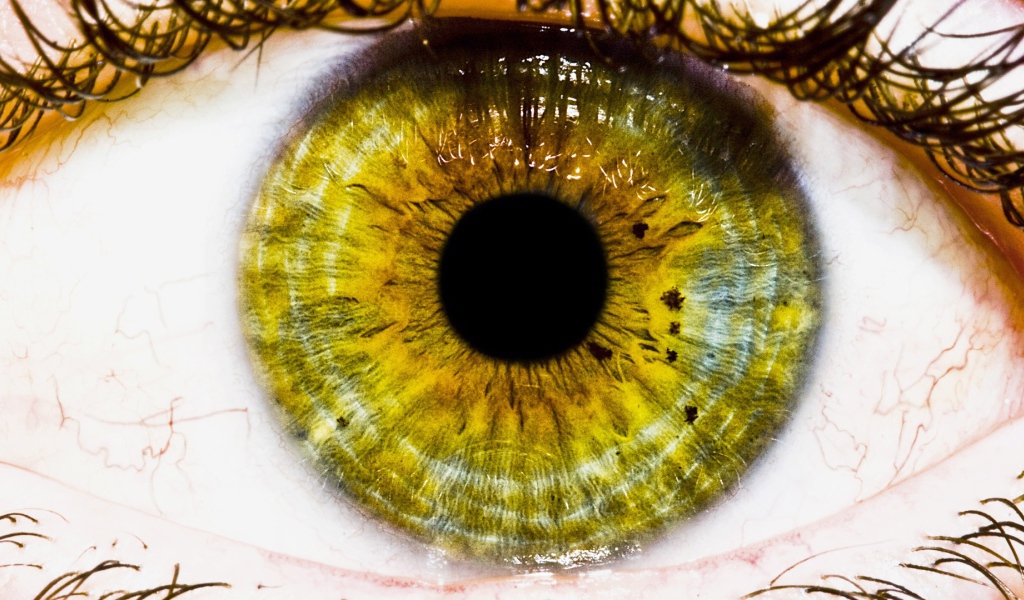 Зеленый глаз, макро фото