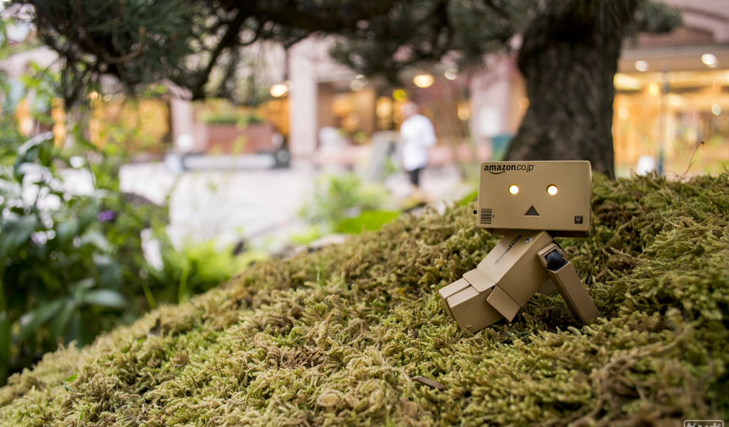 Японский Дандо на мху