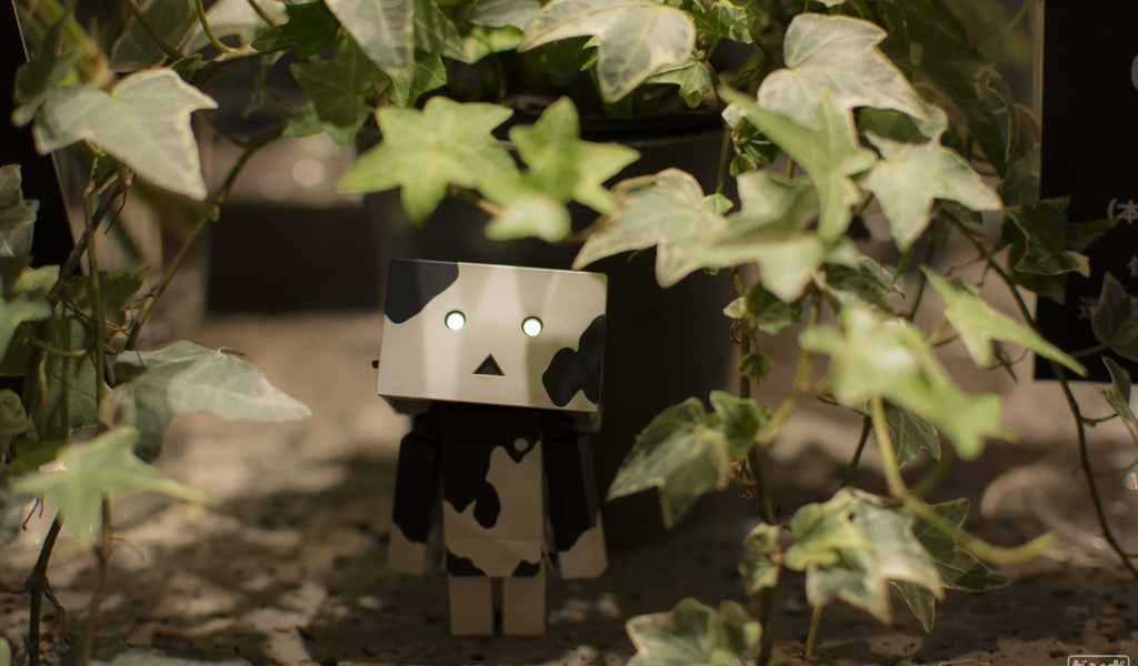 Японский Дандо под листьями