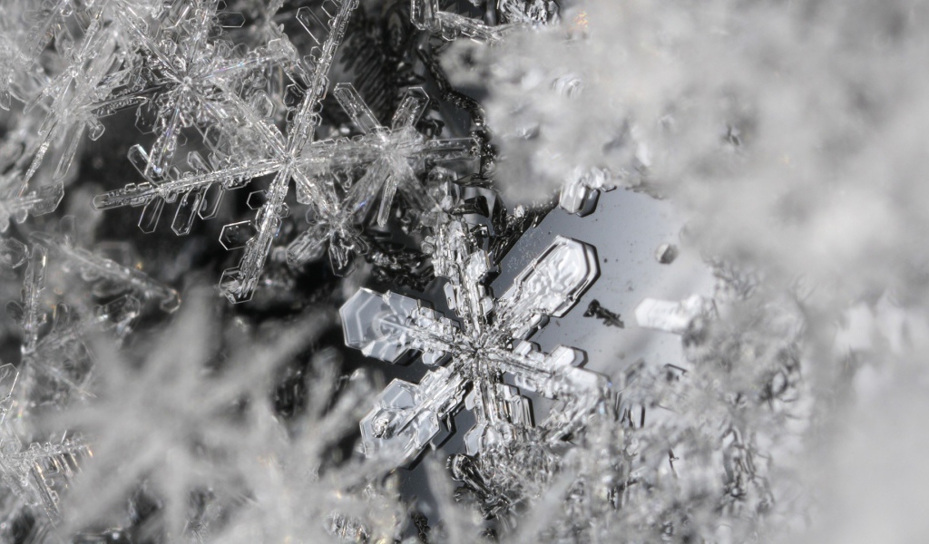 Макро фото снежинок