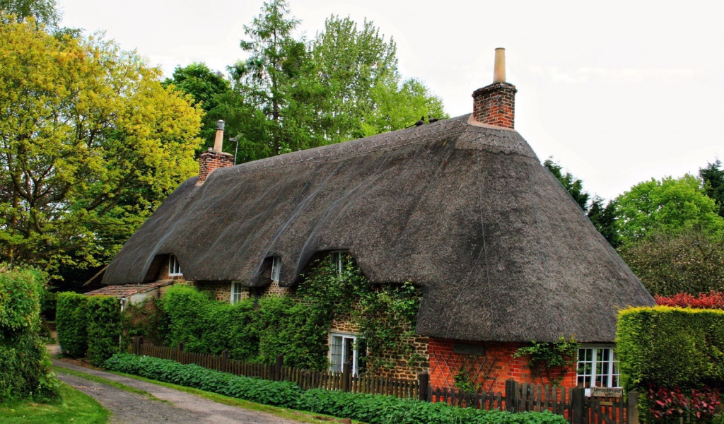 Старый дом, увитый плющом