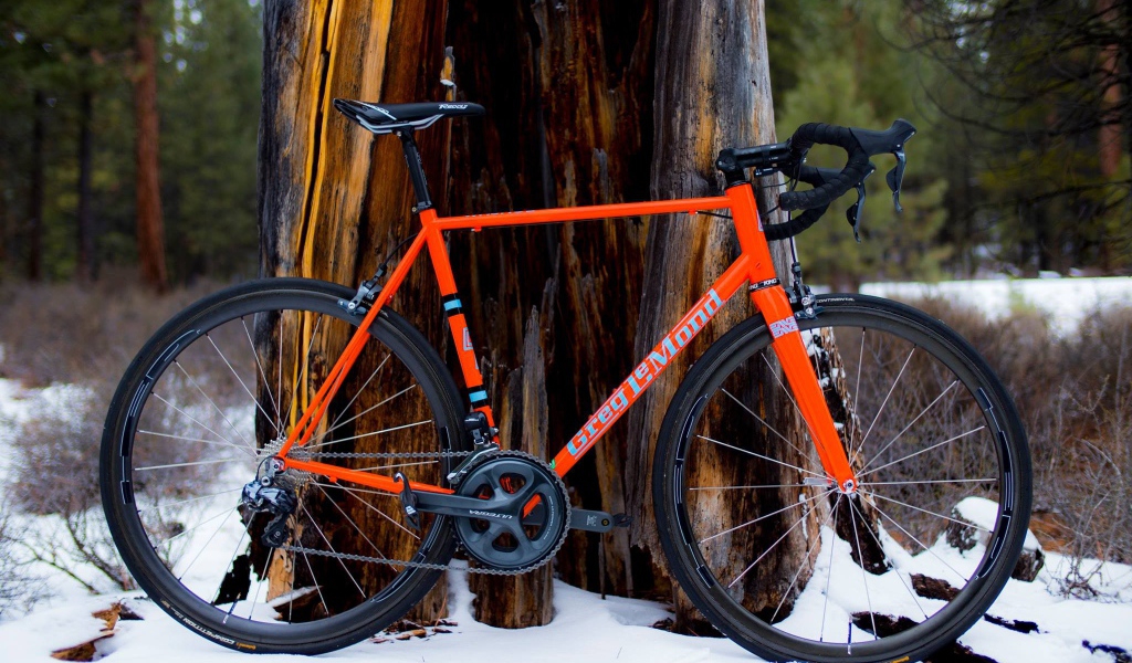 Оранжевый велосипед у дерева