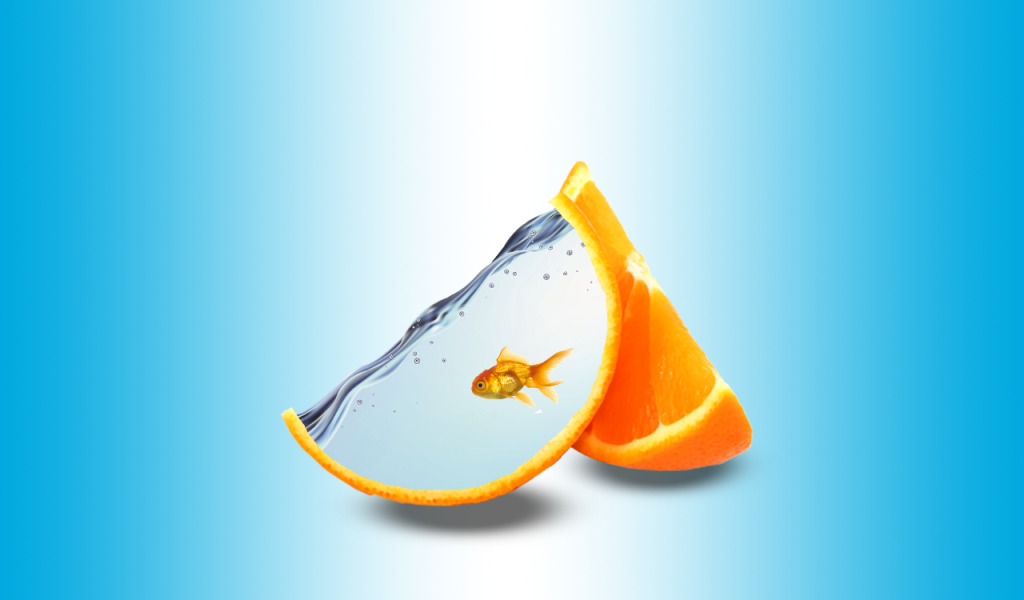 Долька апельсина в качестве аквариума