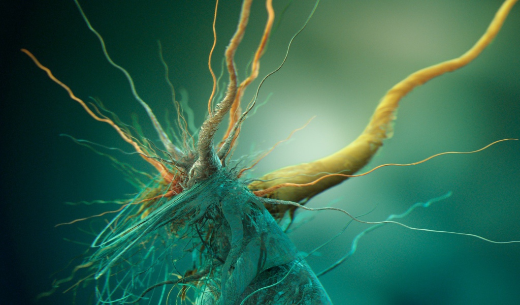 Фото микроорганизма под увеличением