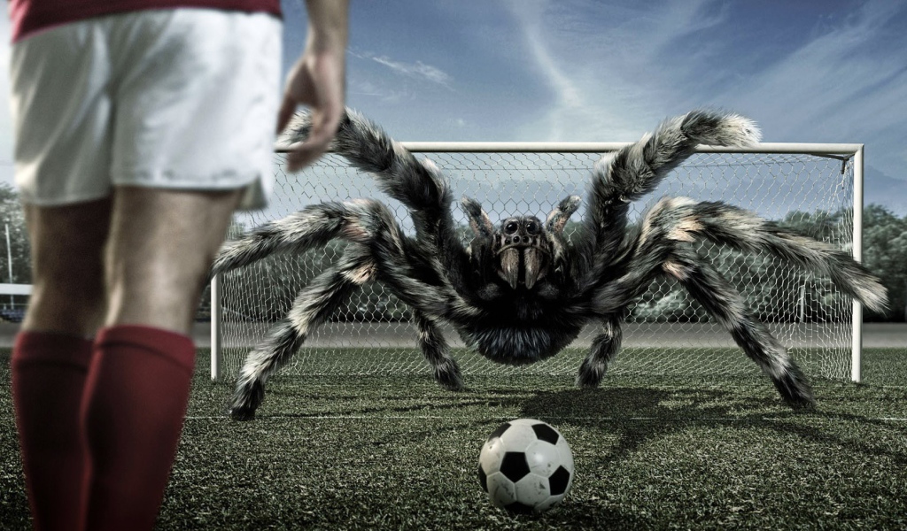 Игра в футбол с арахнидом