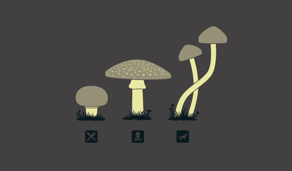 Предназначение разных грибов