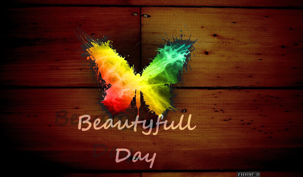 Радужная бабочка, прекрасный день