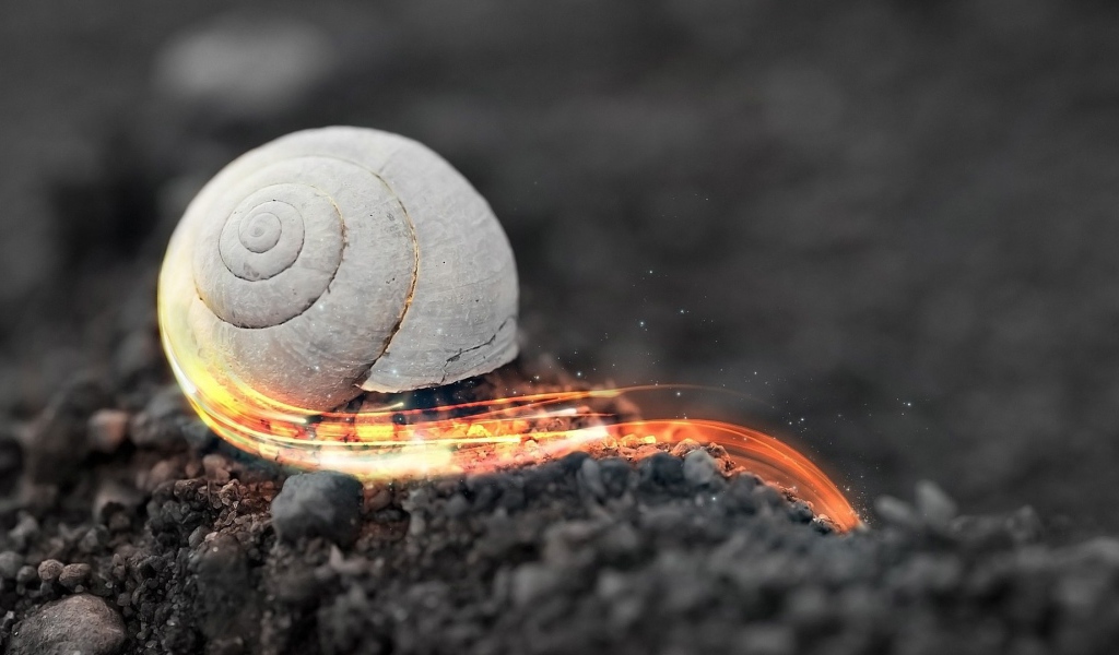 Стремительная огненная улитка